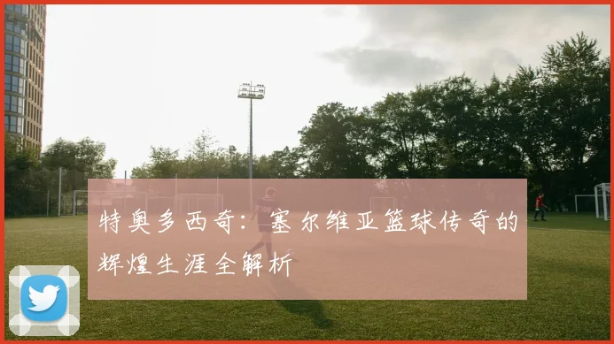 特奥多西奇：塞尔维亚篮球传奇的辉煌生涯全解析