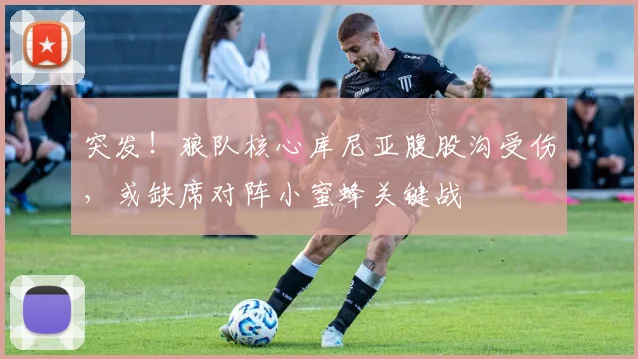 突发！狼队核心库尼亚腹股沟受伤，或缺席对阵小蜜蜂关键战