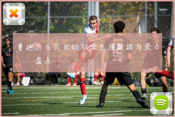 鲁迪·戈贝尔的职业生涯数据与荣誉盘点