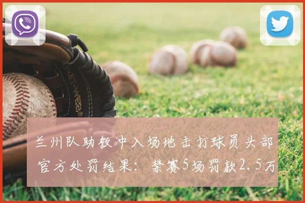 兰州队助教冲入场地击打球员头部 官方处罚结果：禁赛5场罚款2.5万